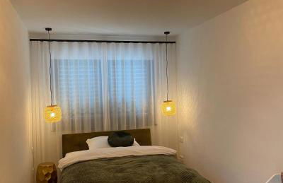 Mittendrin Ortenau - Foto 5