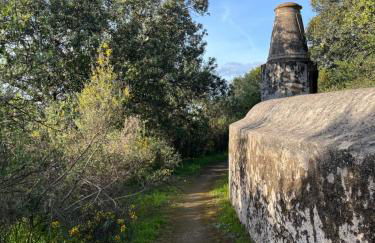 Quinta do Faisco - Photo 10