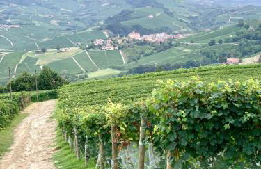 Agricola Domus - Photo 16