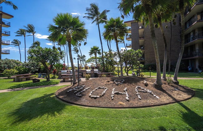 Modern and Relaxing Oceanfront Vistas - Foto 24