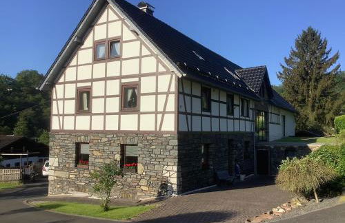 Berg Blick Eifler Bauernhaus modern restauriert - Photo 3