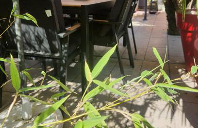 Hôte Stéphanois &parking - Foto 38