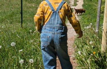 Nattersbergalm - Foto 5