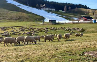 Ferienwohnung am Schneeberg - Foto 56