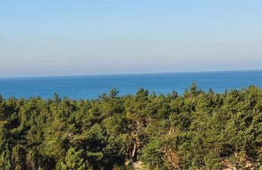 DOMKI RUCHOME PIASKI - Foto 29