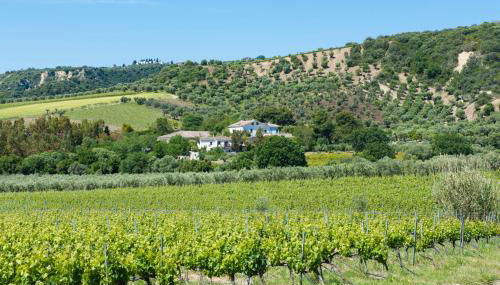 Agriturismo Dattilo - Photo 1