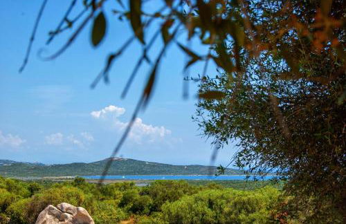 Massidda Country Retreat - Foto 8