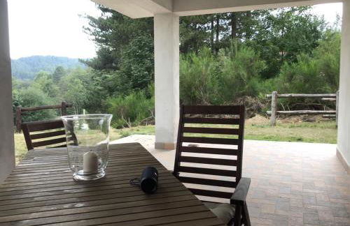 Tra il bosco e il lago - Foto 30