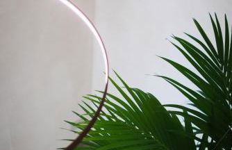 Agriturismo Saliceto - Foto 29