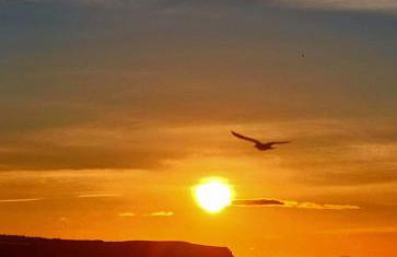 The Whitby Eskape - Foto 25