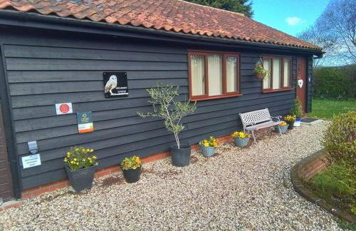 Owlhoot Annexe - Foto 18