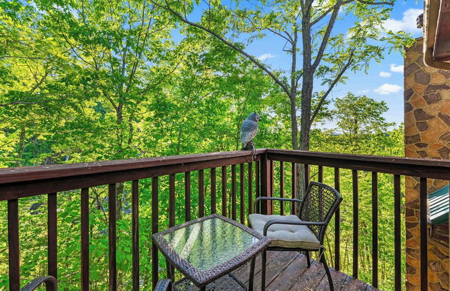 Rustic 3br Cabin Near Lake w/ Hot Tub! - Foto 44