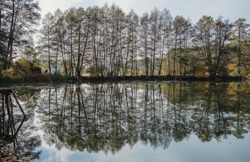 Ośrodek Wypoczynkowy WEZAJ - Foto 29