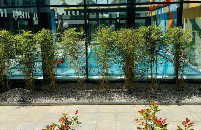 Morze Niechorze Domy całoroczne - Foto 63