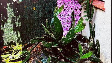 Escale marine - Foto 4