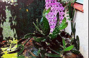 Escale marine - Foto 1