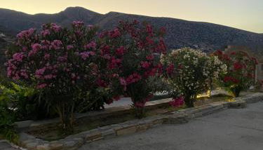 Dream Catcher3 - Foto 3