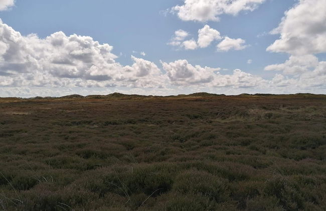 Holiday Home in Henne - Foto 8