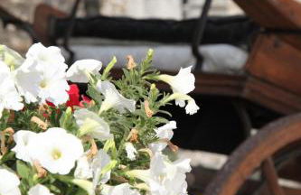 Agriturismo Il Calesse - Foto 20