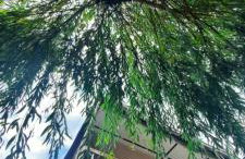 Domek Letniskowy Łętowo - Foto 63