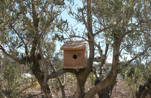 Mas en campagne - Foto 11