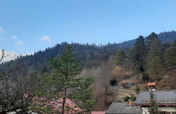 Appartement im Hasental - Foto 20