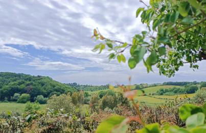 Casa Micuccio - Foto 6