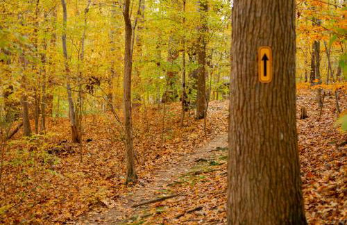 Studio Apt on HRT hosted by Longview Stays - Foto 21