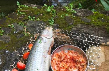 Chalés Cachoeira Azul - Foto 54