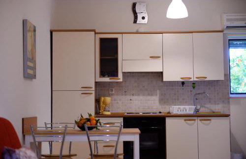 Patras Palm Tree - Foto 13