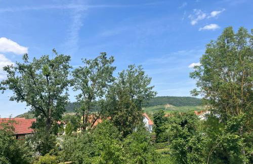 Neu - Wenkheimer Hof Scheunen-Loft - Foto 34