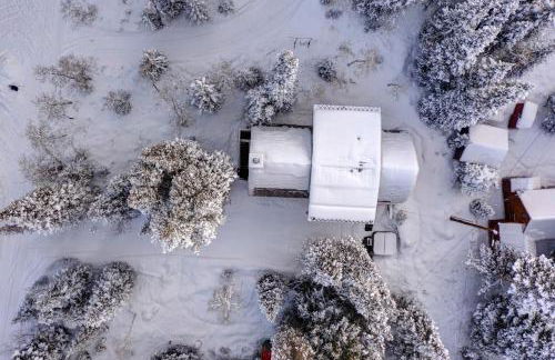 Brighton Bonanza - Foto 47