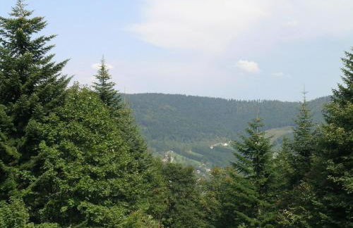 Ventron Chalet with Hill Views - Foto 25