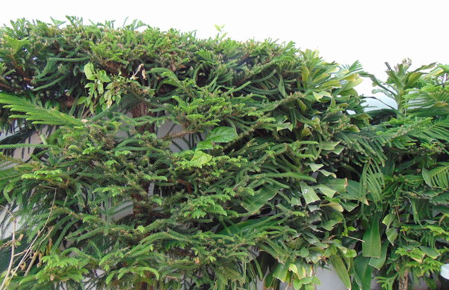 Departamentos Villas Capdeviel - Photo 48