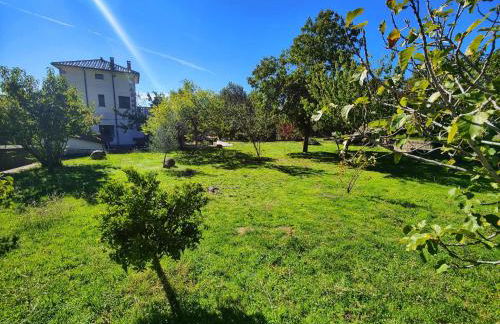 Casa El Rozado - Photo 12