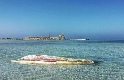 Casa Vacanze Sea-Life - Foto 51