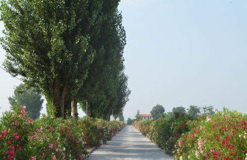 Characteristic Apartment in Codigoro With Pool - Foto 116