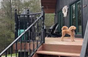 Mountain View Chalet Ski, Hot Tub, Firepit, Games - Foto 24