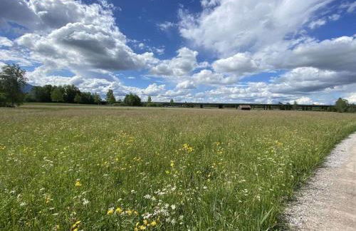 Holiday apartment with 2 bedrooms - Foto 16