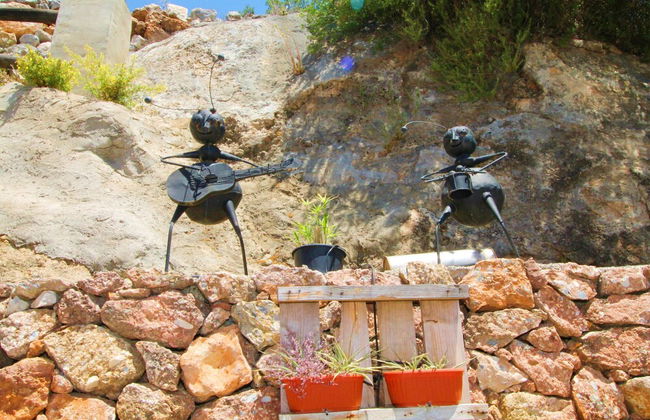 1094 Cortijo el Niño - Foto 66