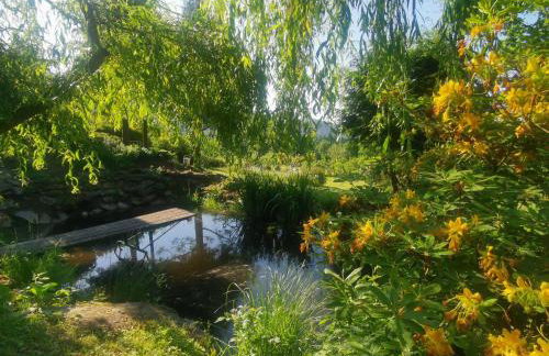 Jaworowy Stok z widokiem na góry i ogrodem - Foto 28