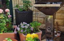 Grahl´s Ferienwohnung - Foto 37