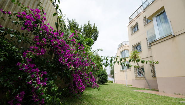 Els Llorers - Photo 3