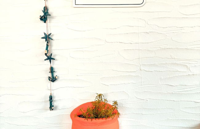 Tas Apart - Photo 58