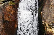 Apartamento C&C - Foto 47