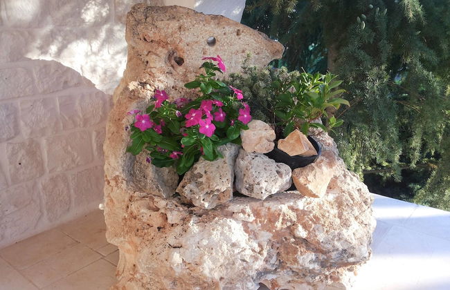 Dépendance in Villa Karmel - Photo 16