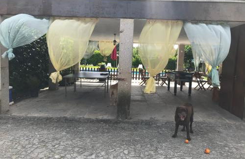 Casa da Ponte do Porto - Foto 9