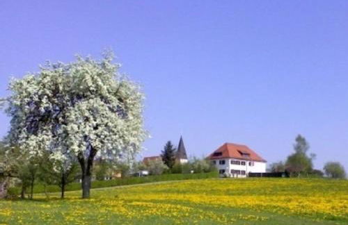 FEWO Prackenbach - Foto 9