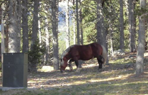 Cal Rosetó - Foto 46
