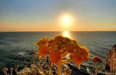 Villa Panorama, vue Mer et Falaises d exception - Foto 61